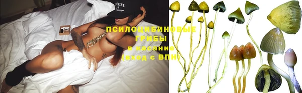 Альфа ПВП Бронницы