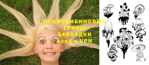 Альфа ПВП Бронницы