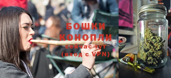 гидропоника Бородино