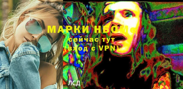 гидропоника Бородино