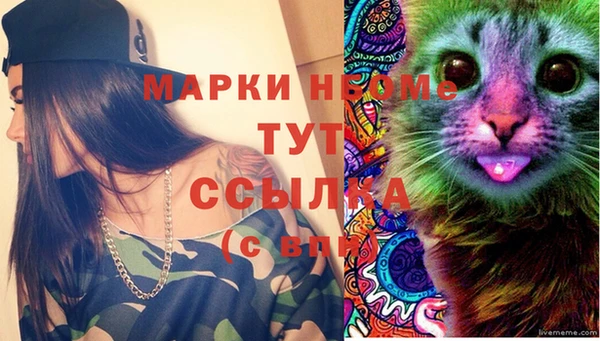гидропоника Бородино