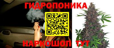 а пвп мука Аргун