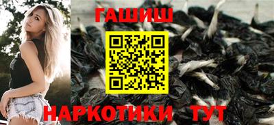 крисы Абакан