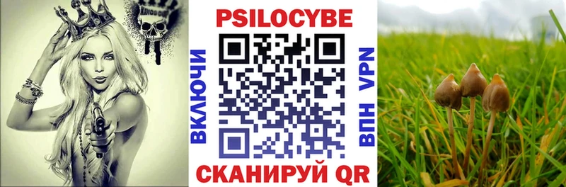 купить  цена  Всеволожск  блэк спрут как войти  Галлюциногенные грибы MAGIC MUSHROOMS 