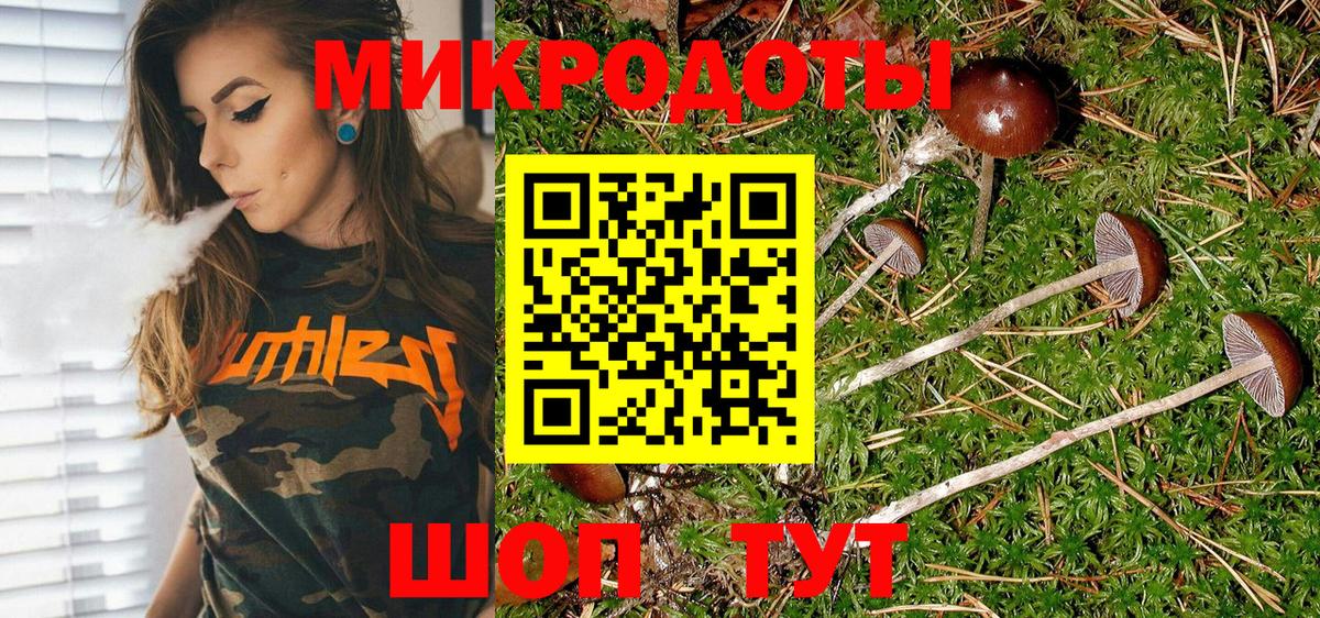 Псилоцибиновые грибы прущие грибы Всеволожск