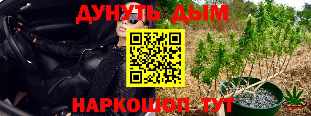 МАРИХУАНА планчик  Конопля марихуана  Вход с VPN  Всеволожск  МАРИХУАНА конопля 